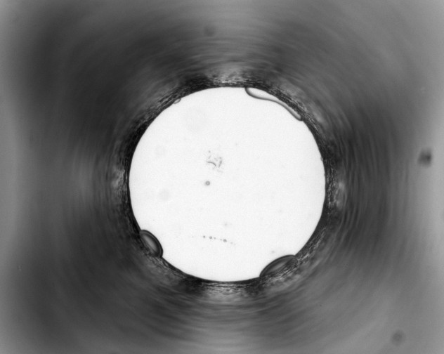 X0000103440521200810101108