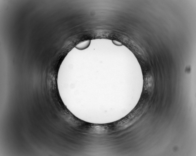 X0000103440522200810101108