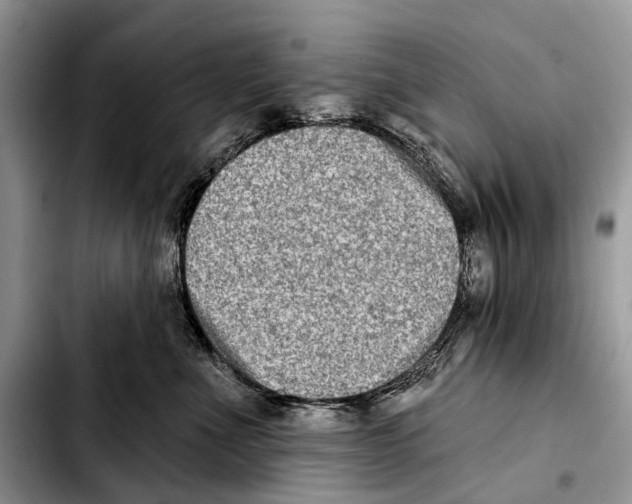 X0000103440523200810101108