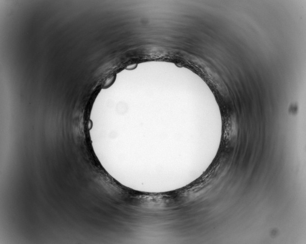 X0000103440524200810101108