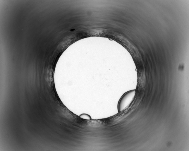 X0000103440525200810101108