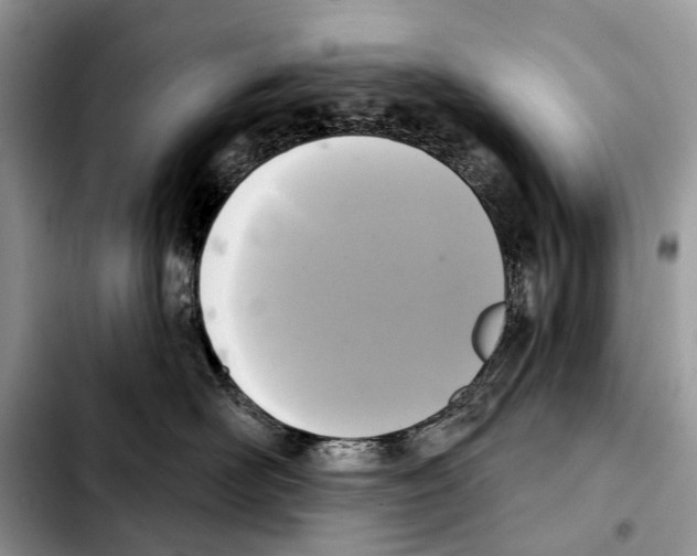 X0000103440526200810101108