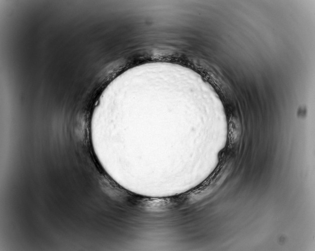 X0000103440527200810101108