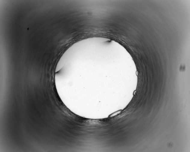 X0000103440528200810101108