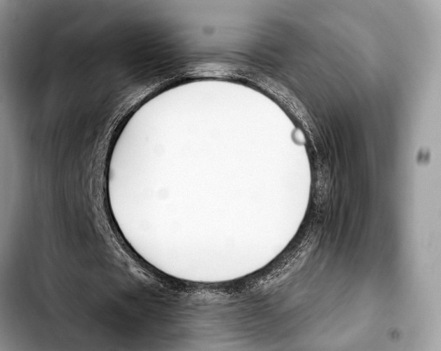 X0000103440529200810101107