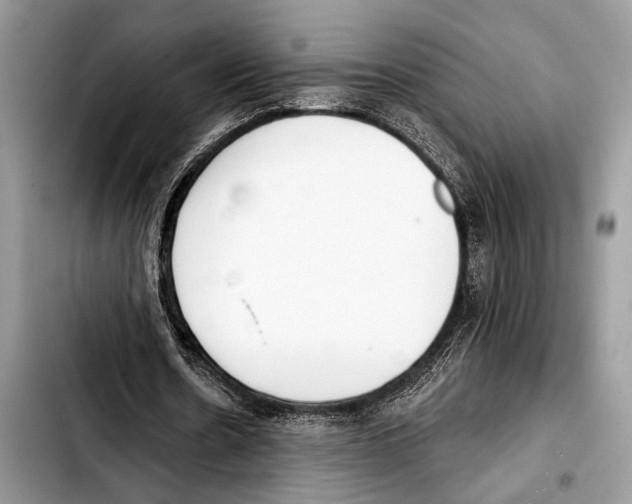 X0000103440530200810101107