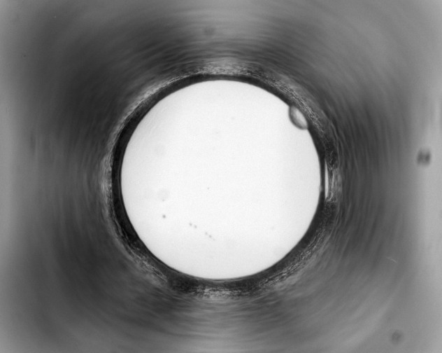X0000103440531200810101107
