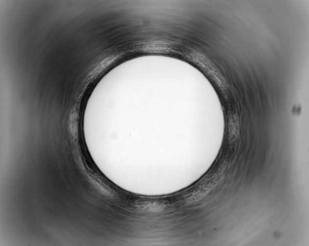 X0000103440533200810101107