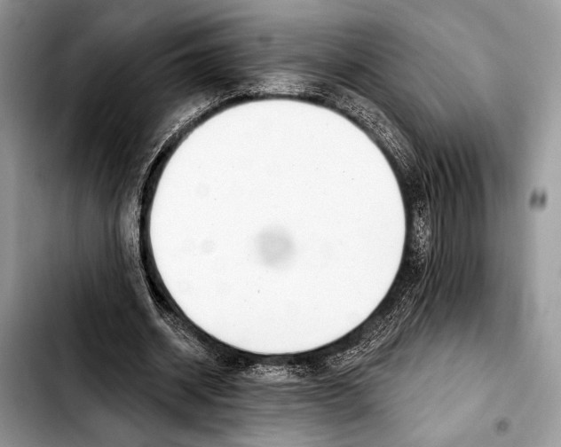 X0000103440534200810101107