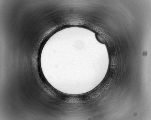 X0000103440535200810101107