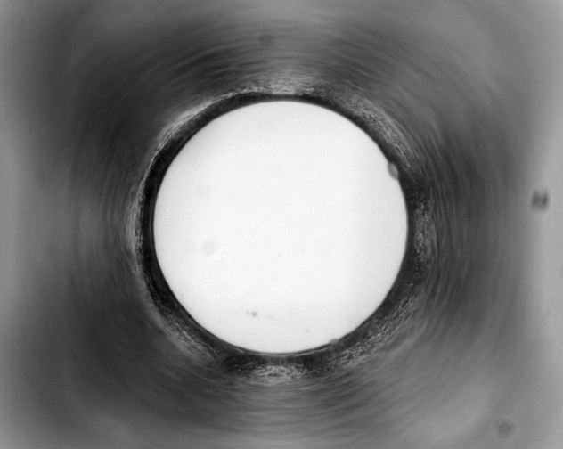 X0000103440536200810101107