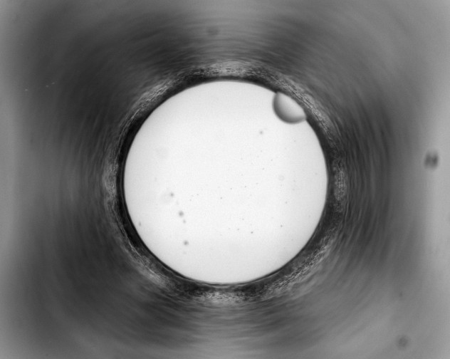 X0000103440537200810101107
