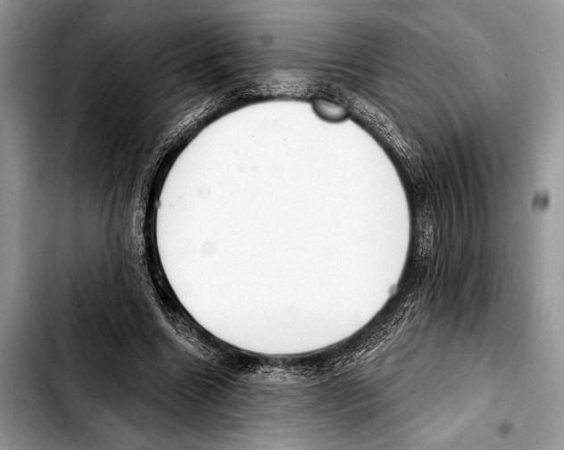 X0000103440538200810101107