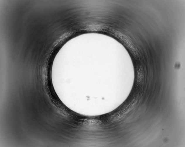 X0000103440539200810101107