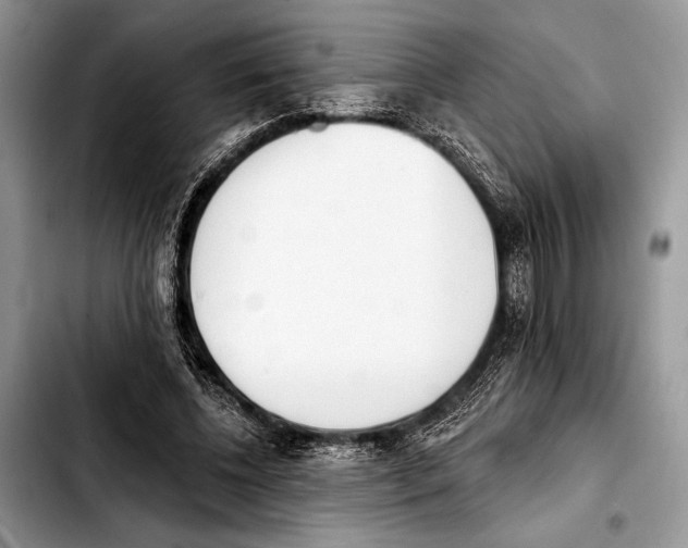 X0000103440540200810101107