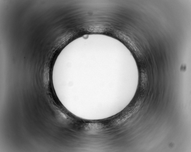 X0000103440541200810101107