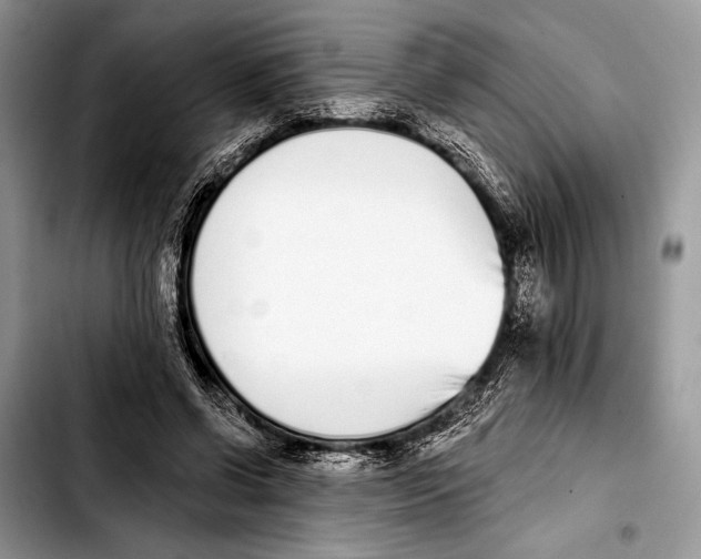 X0000103440542200810101107