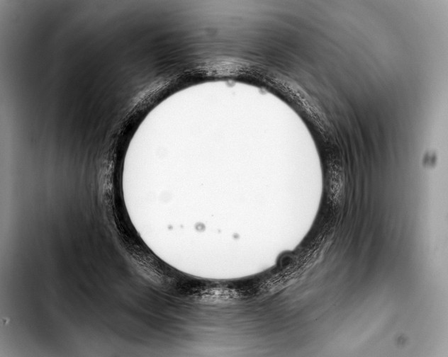 X0000103440543200810101107