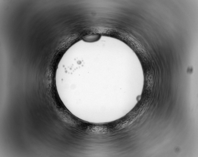 X0000103440546200810101107