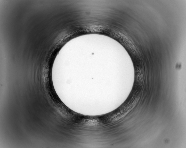 X0000103440548200810101107