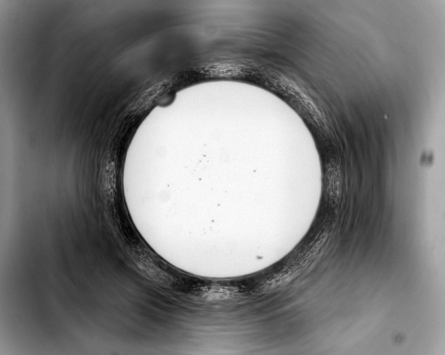 X0000103440549200810101107