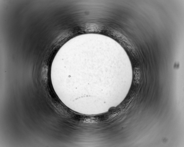 X0000103440550200810101107