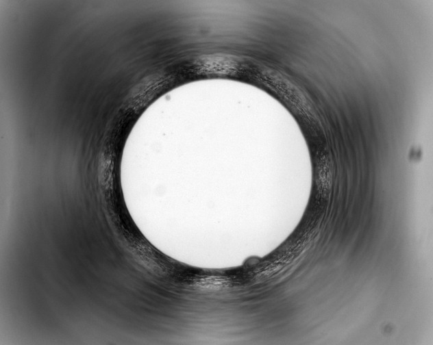 X0000103440551200810101107