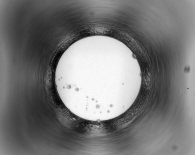 X0000103440552200810101107