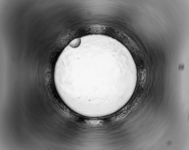 X0000103440553200810101107