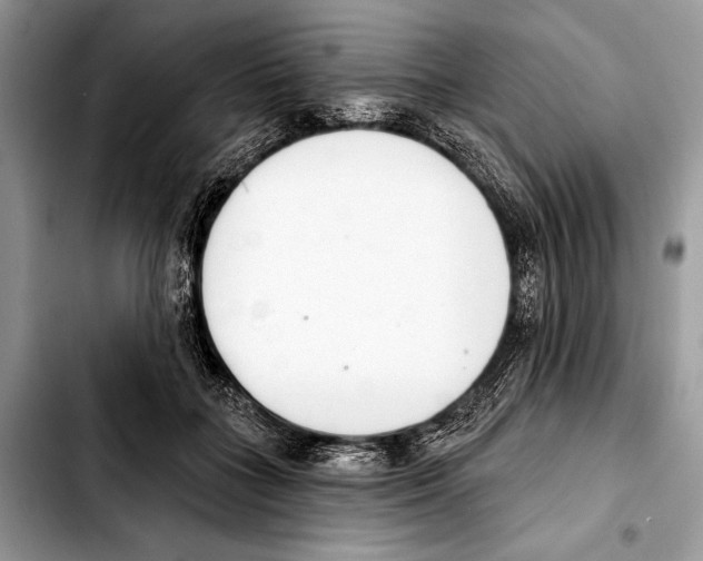 X0000103440555200810101107