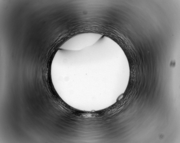 X0000103440558200810101108