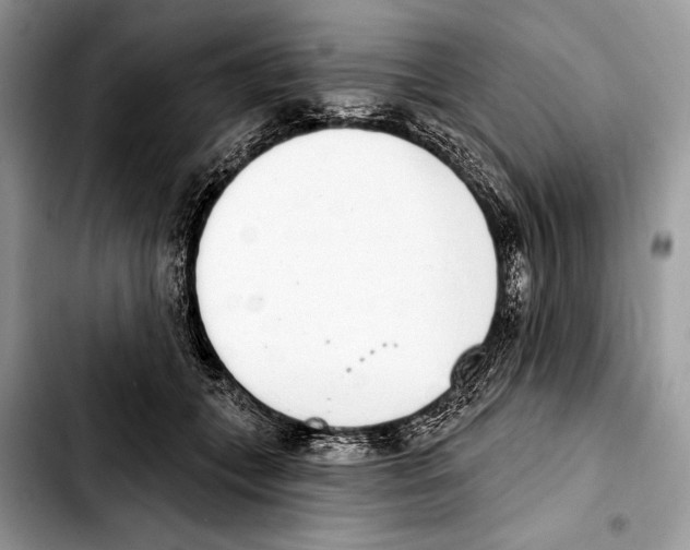 X0000103440559200810101108
