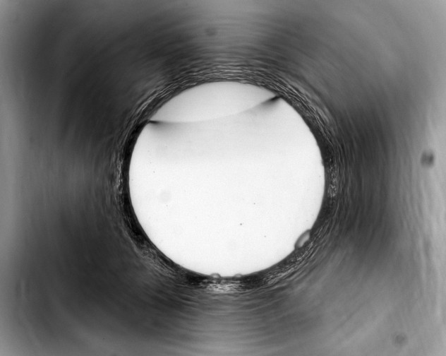 X0000103440560200810101108