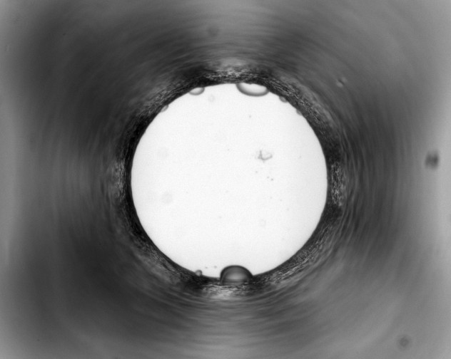 X0000103440563200810101108