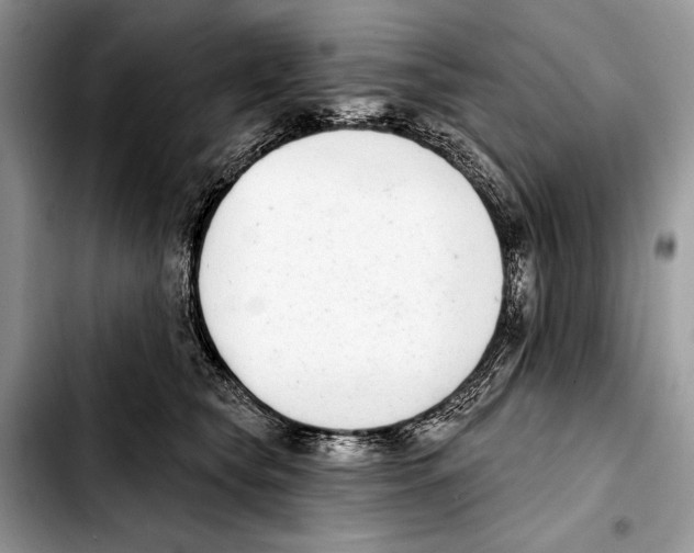 X0000103440565200810101108