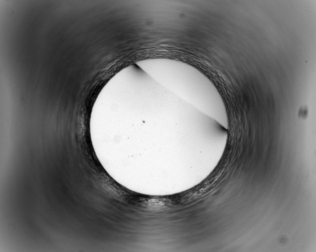 X0000103440566200810101108