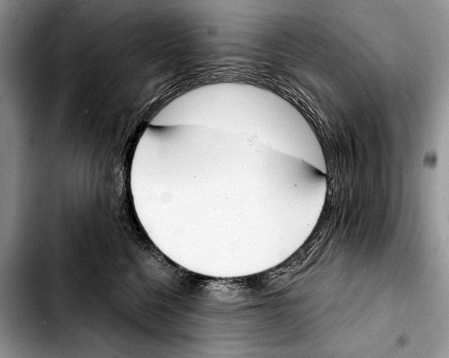 X0000103440568200810101108