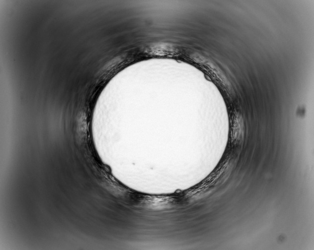 X0000103440569200810101108