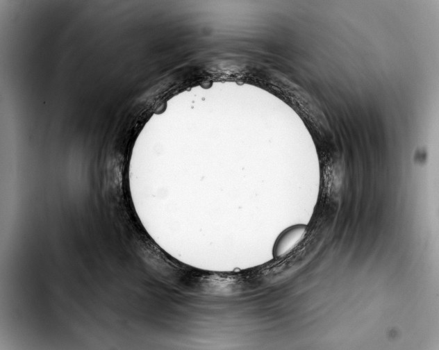 X0000103440570200810101108