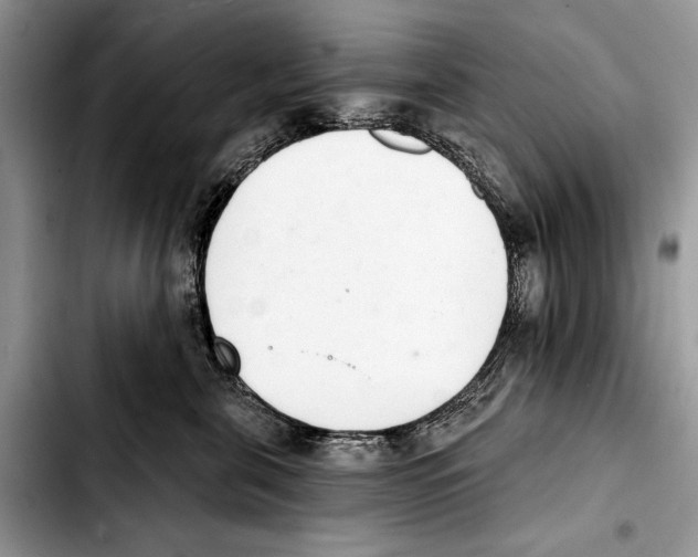 X0000103440571200810101108