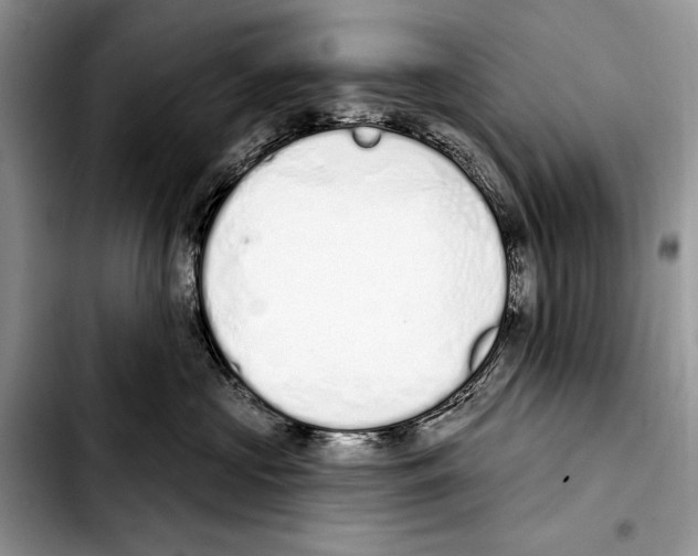 X0000103440573200810101108