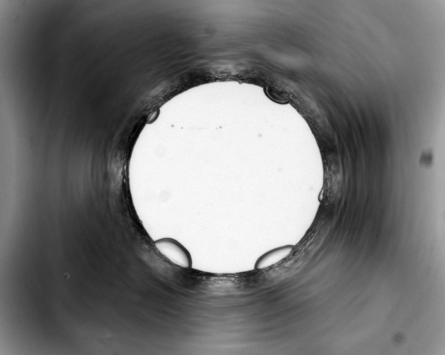 X0000103440574200810101108