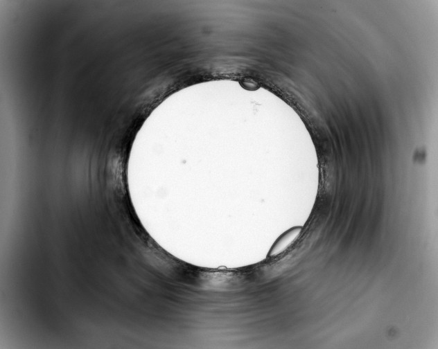 X0000103440575200810101108