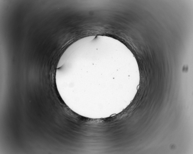 X0000103440576200810101108
