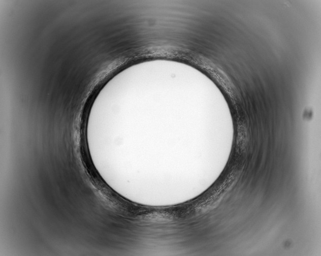 X0000103440578200810101107