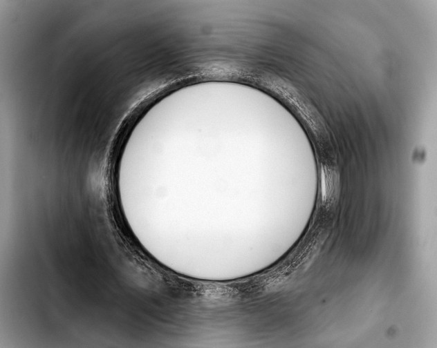 X0000103440579200810101107