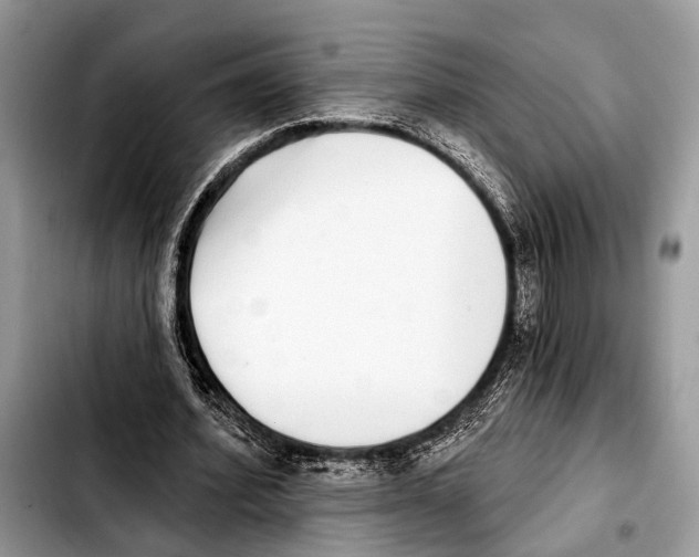X0000103440580200810101107