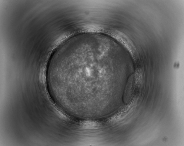 X0000103440581200810101107