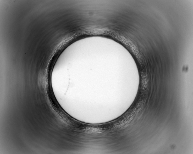 X0000103440582200810101107