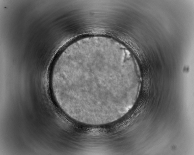 X0000103440584200810101107